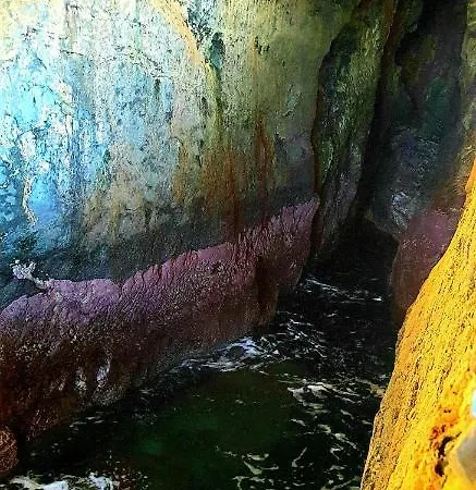 Apartamento Tortuga House