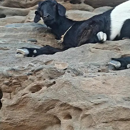 Tortuga House Apartamento