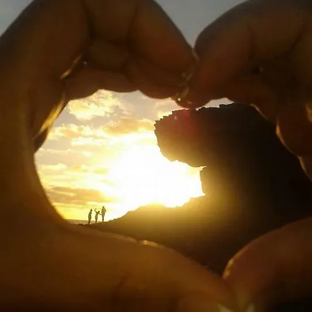 Apartment Tortuga House *