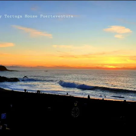 Tortuga House アパート