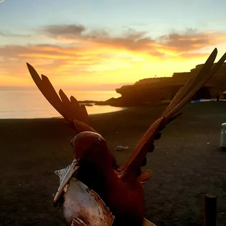 Tortuga House Διαμέρισμα Ajuy