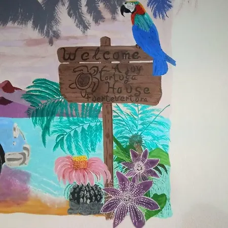 Tortuga House Apartmán