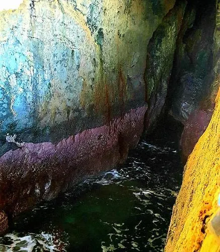 Appartement Tortuga House